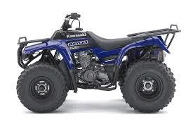 Kawasaki Bayou 250