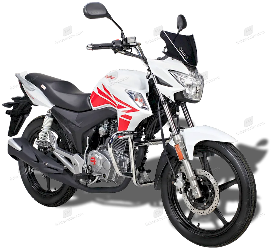 Raybar Striker 150 2020