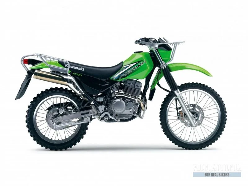 Kawasaki Stockman 250