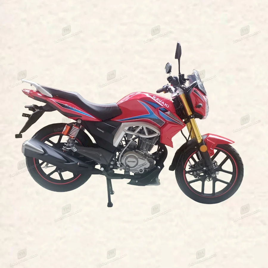 Fosti F31 2022