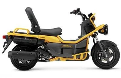 Honda Ruckus