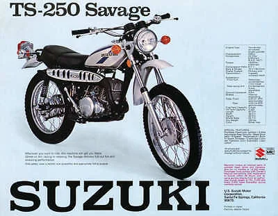 Suzuki TS 250