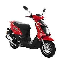 Znen Q 2015