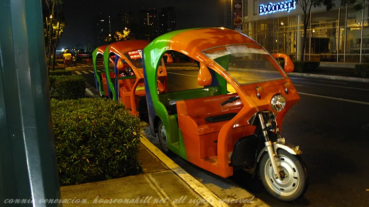Adly e-Bike Fun Cruiser 2009
