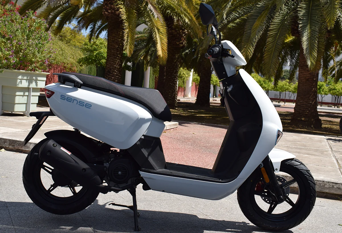 MH Sense 50 2021