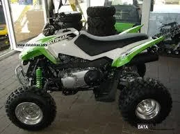 Arctic Cat 300 DVX