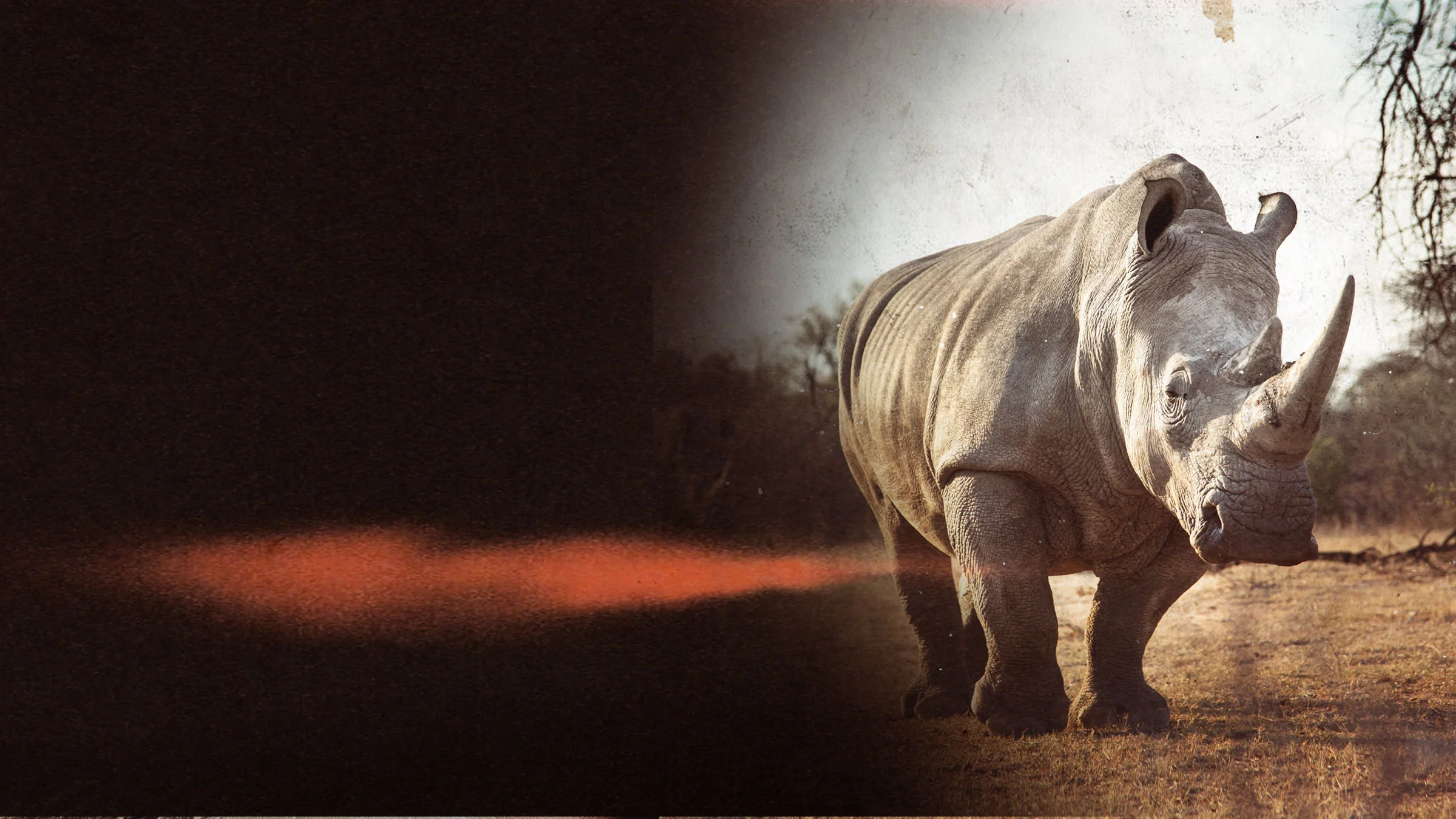 Rhino FLM-003 Hunter S 2012