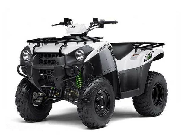 Kawasaki Brute Force 300
