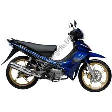Demak MS 2011