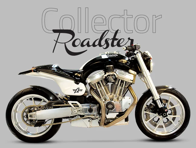 Avinton Collector Roadster 2013