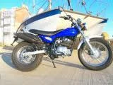 Skyteam ST125-2 V-raptor 2009