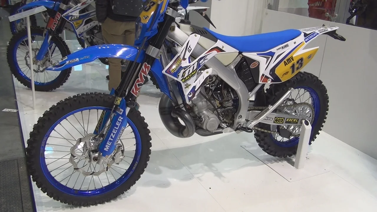 TM EN 300
