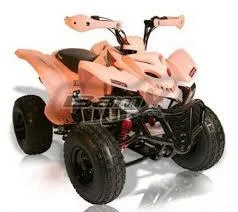 Bam BX200-S Charger 2010