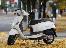 Sym Fiddle II 50