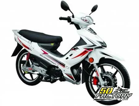 Nipponia Brio 50