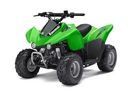Kawasaki KFX 50