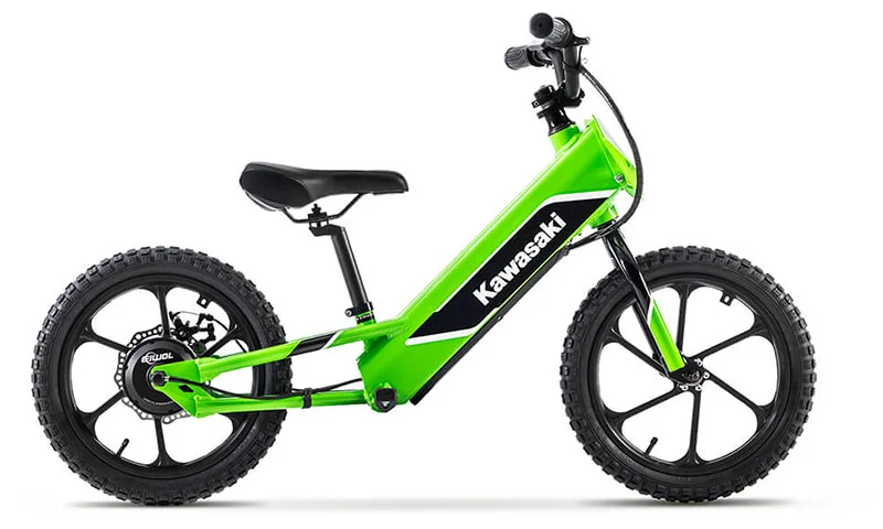 Kawasaki Elektrode