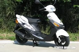 Dafier Roma 50