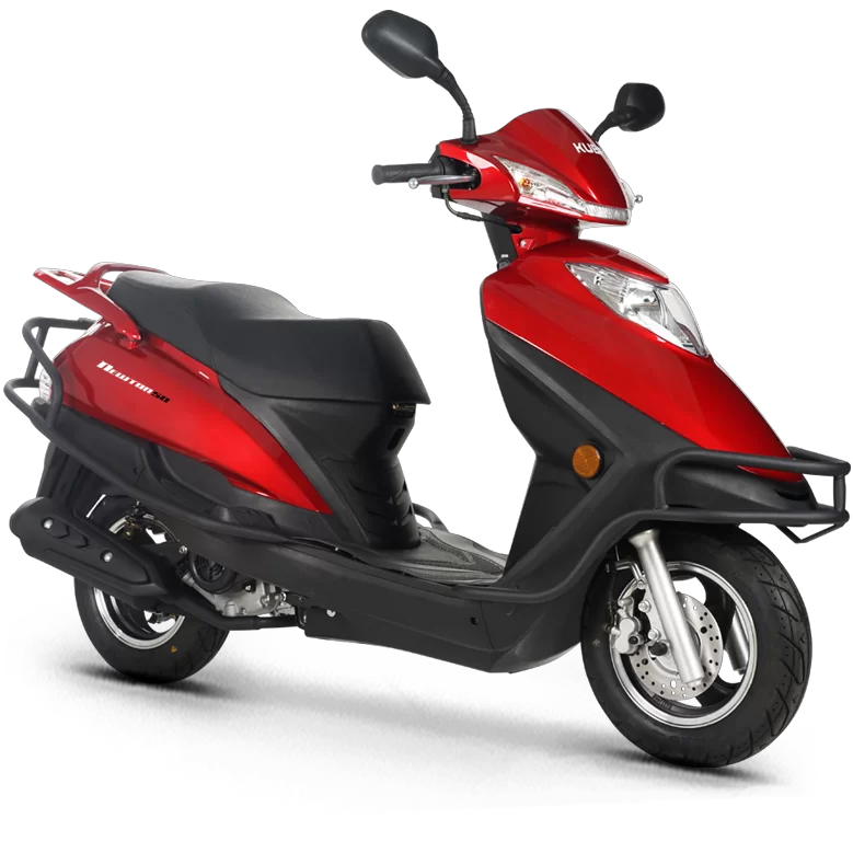 Kuba Newton 50 2023