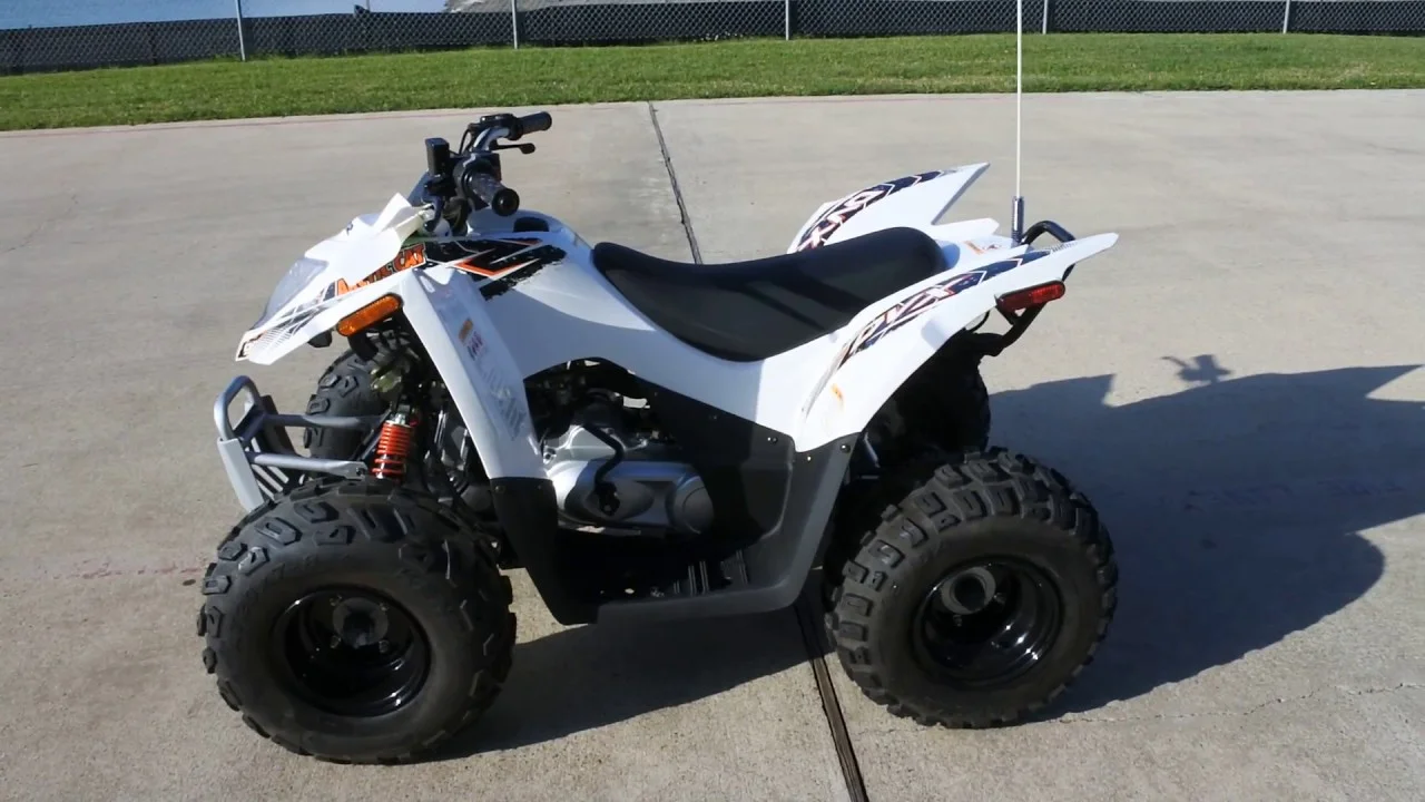 Arctic Cat 90