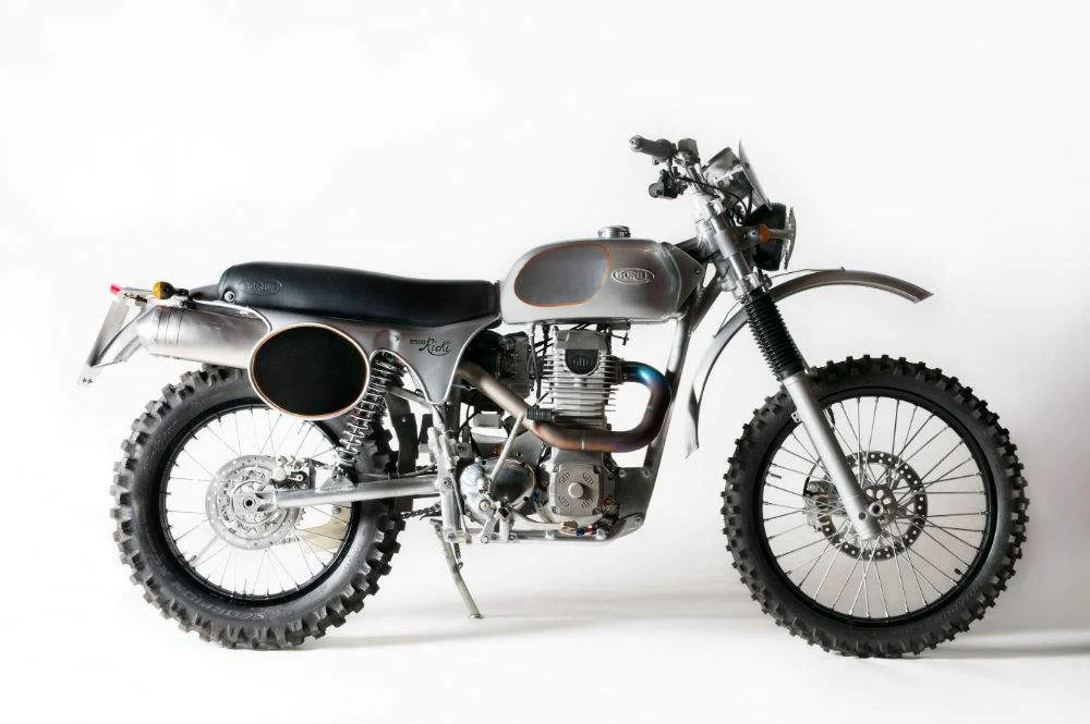 Borile B500Ricki 2014