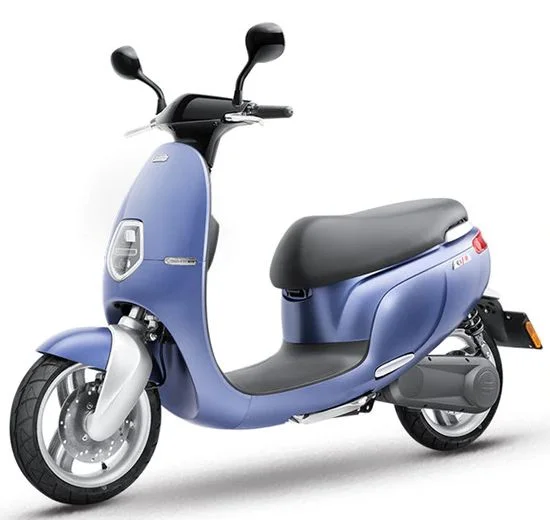 Saxxx Ecooter E1S