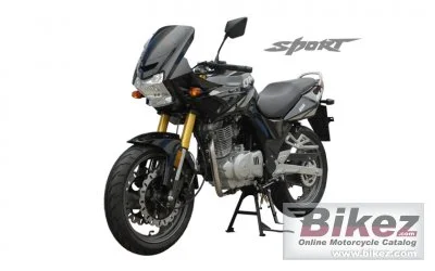 Qingqi Sport QM250-2D 2013