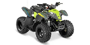 Polaris Outlaw 110 EFI