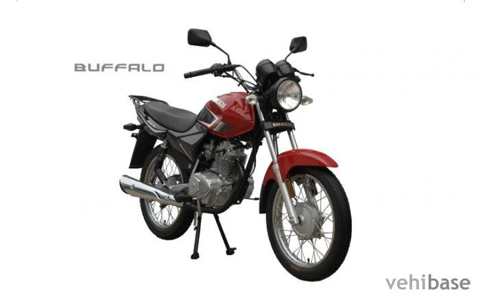Qingqi Buffalo QM125-10R 2013