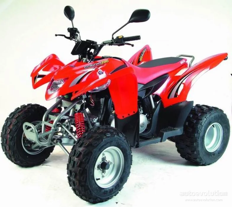 Aeon Cobra 220 2008