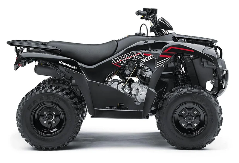 Kawasaki Brute Force 300