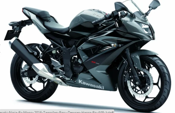 Kawasaki Ninja RR Mono