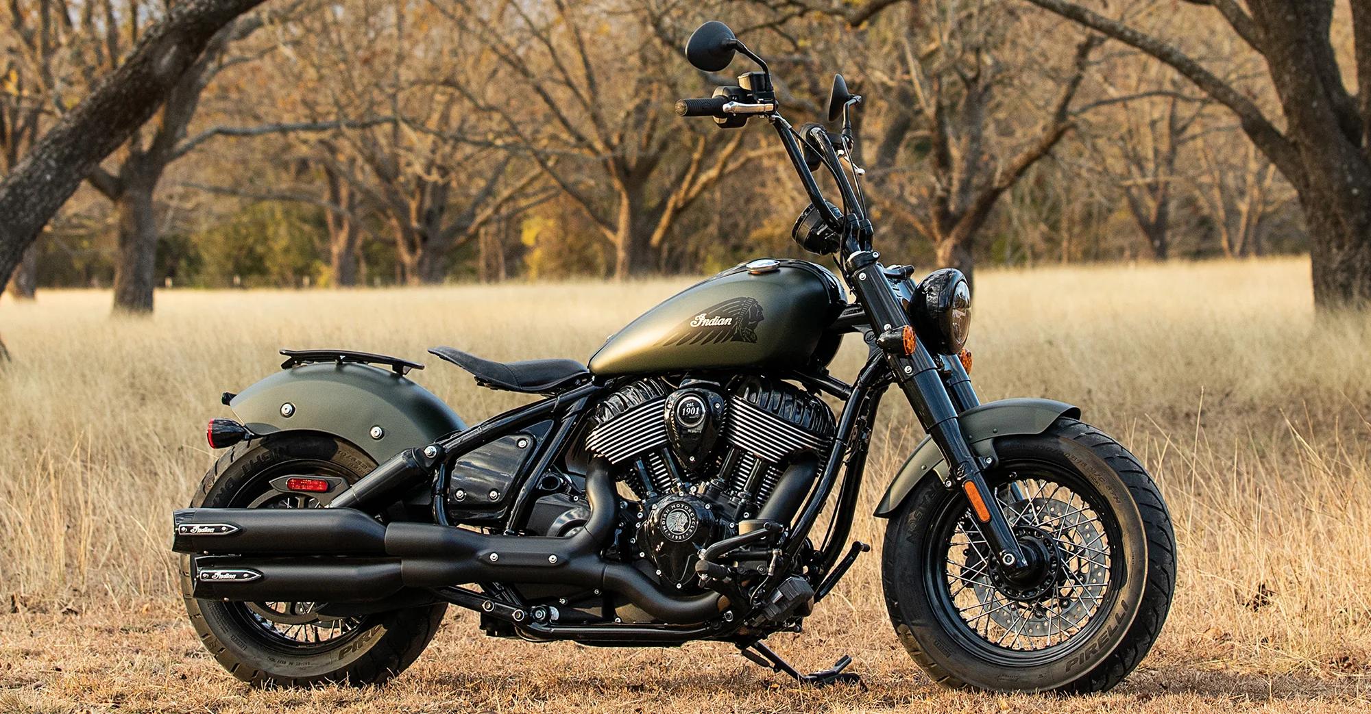 Indian Chieftain Dark Horse