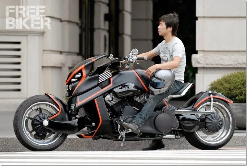 Travertson V-Rex 2014