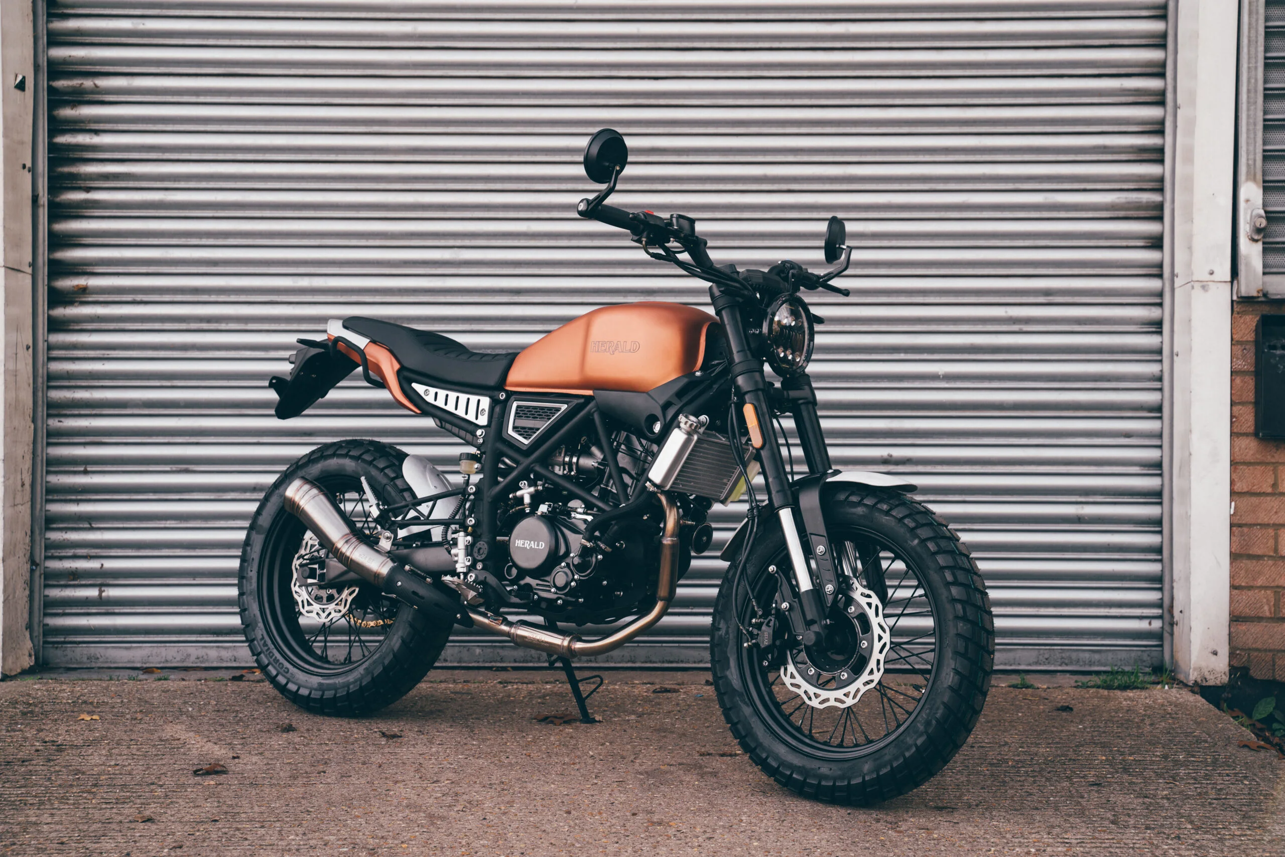 Herald Brat 125 2024