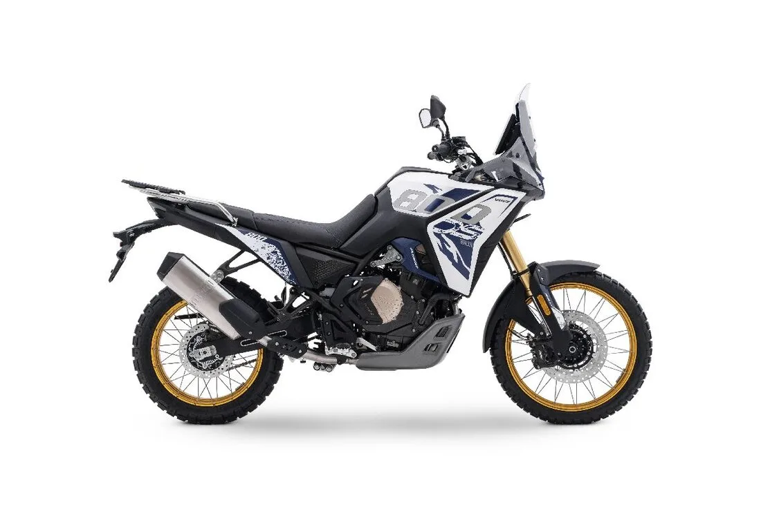 Voge DS800X Rally 2026