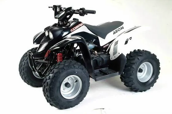 Aeon 100