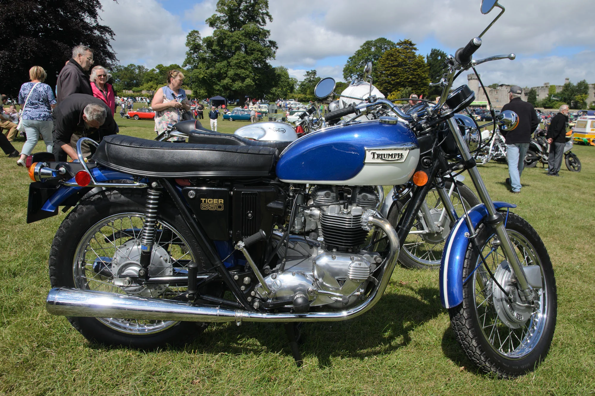 Triumph TR 6 R Tiger 650