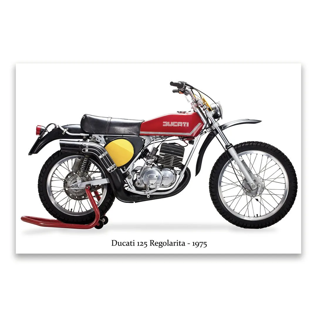 Ducati Regolarita