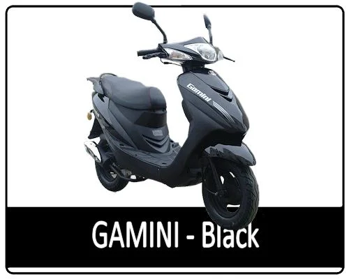 Motowell Gamini 50 2016