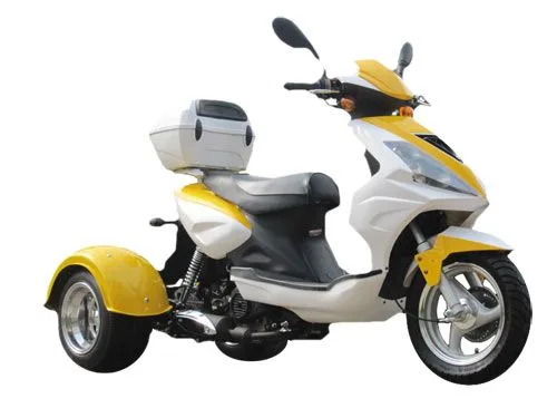 Ice BearAce 50 Trike 