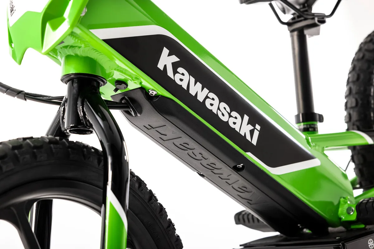 Kawasaki Elektrode 
