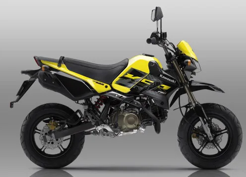Kawasaki Pro
