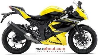 Kawasaki Ninja RR Mono
