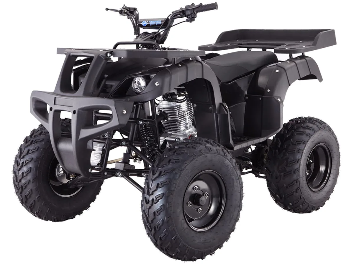 Tao MotorRhino 250 