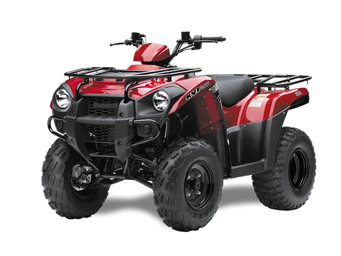 Kawasaki KVF300
