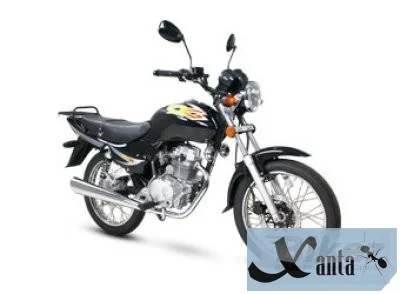Giantco Archer 125 2013