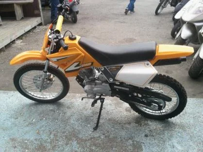 Lifan Chimp 100