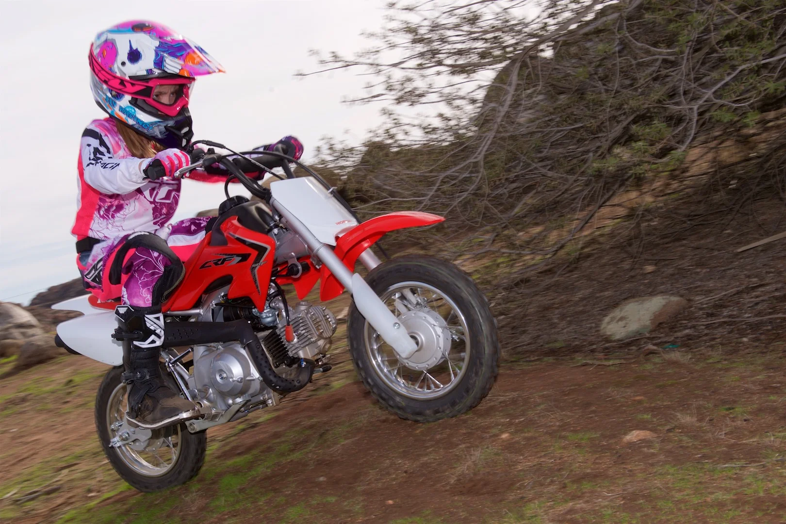 Honda CRF50F