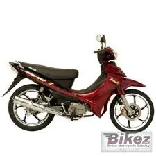 Demak Matrix Sport Z 2011